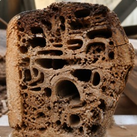 HIGHER STRUCTURAL RISK Termite Swarmers