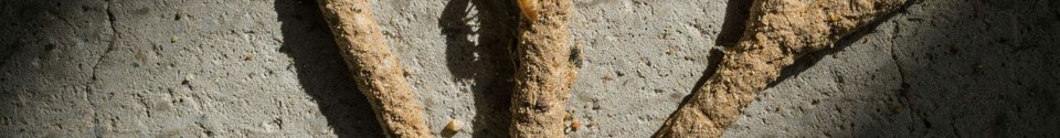 Common Signs of a Subterranean Termite Infestation