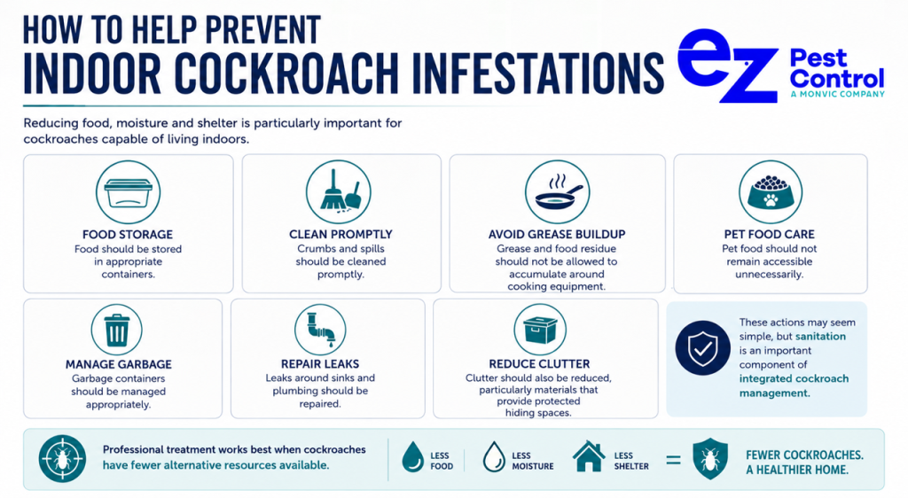 How to Help Prevent Indoor Cockroach Infestations