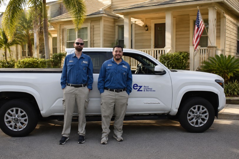 Protect Your Home Before Termites Cause Costly Damage